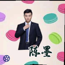 陈墨